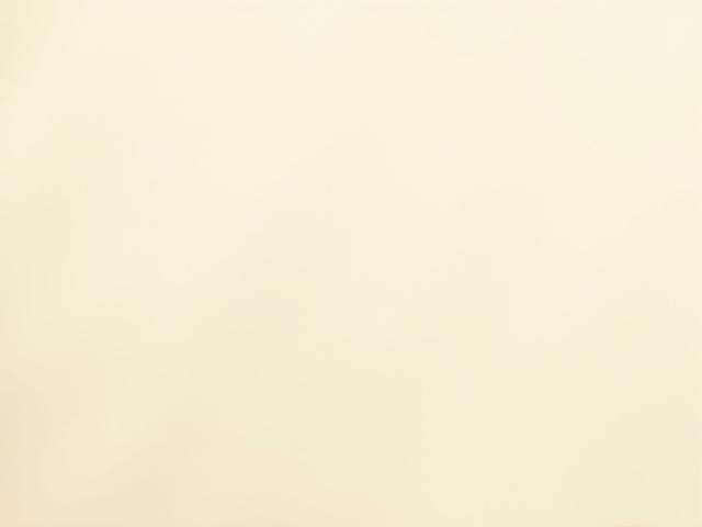 Natural Mitsumata Paper texture